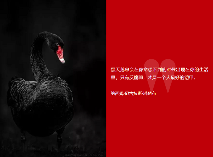 配图1.png