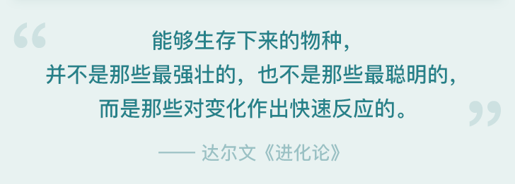 quote png.png
